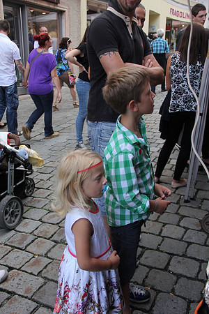 Halleiner Stadtfest 2014