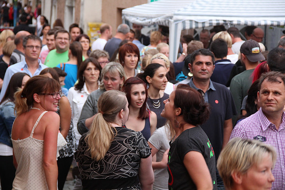 Halleiner Stadtfest 2014