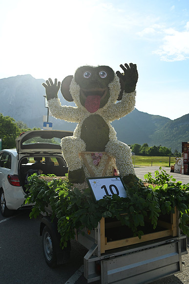 Bootskorso in Altaussee