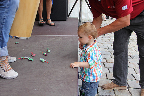 Halleiner Stadtfest 2014