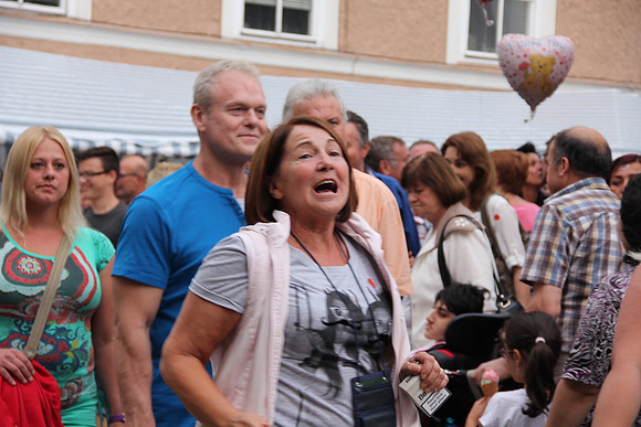 Halleiner Stadtfest 2014