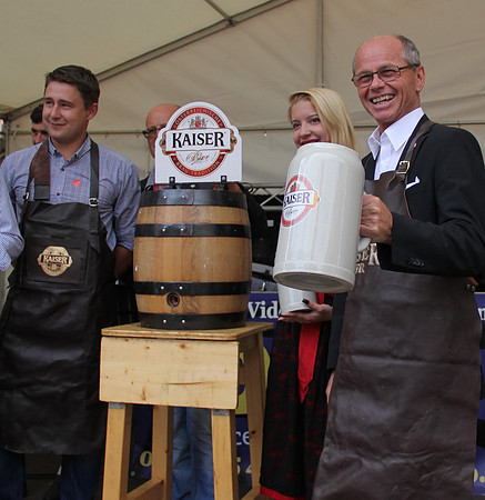 Halleiner Stadtfest 2014