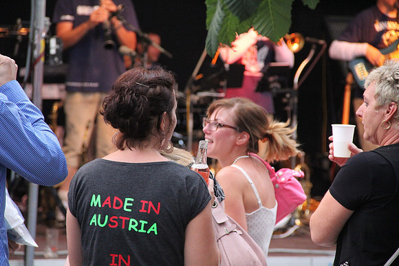 Halleiner Stadtfest 2014