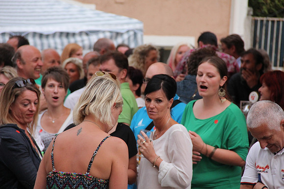 Halleiner Stadtfest 2014