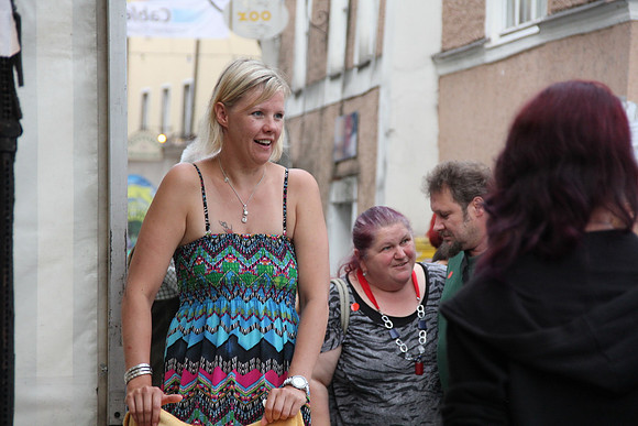Halleiner Stadtfest 2014