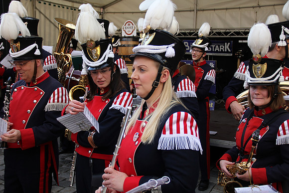 Halleiner Stadtfest 2014