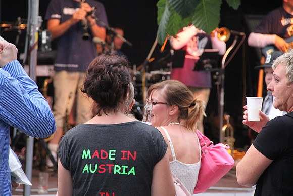 Halleiner Stadtfest 2014