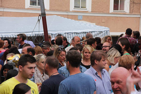 Halleiner Stadtfest 2014