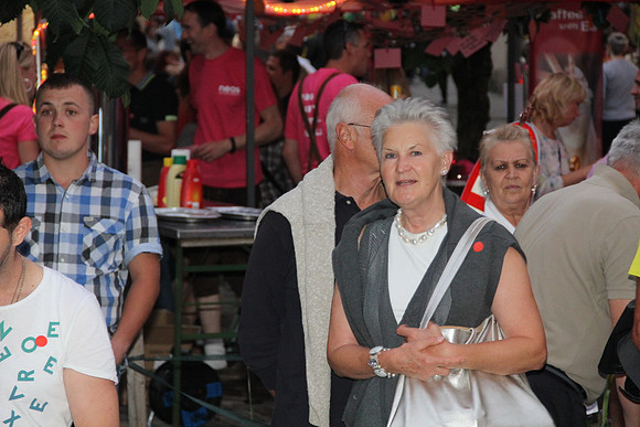 Halleiner Stadtfest 2014