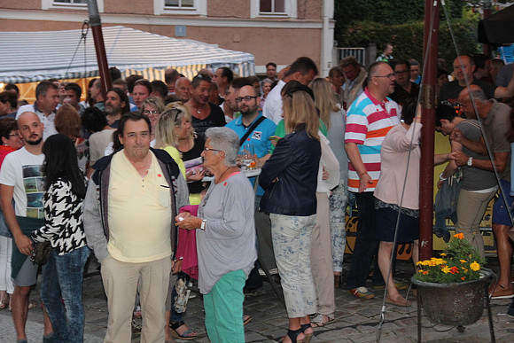 Halleiner Stadtfest 2014