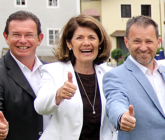 Vereinigung der PflegedirektorInnen Österreichs