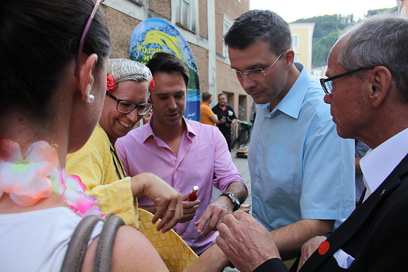Halleiner Stadtfest 2014