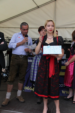 Halleiner Stadtfest 2014