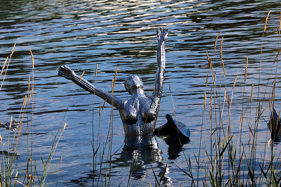 AQUARIA im Waldbad Anif