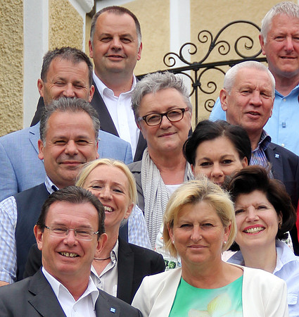 Vereinigung der PflegedirektorInnen Österreichs
