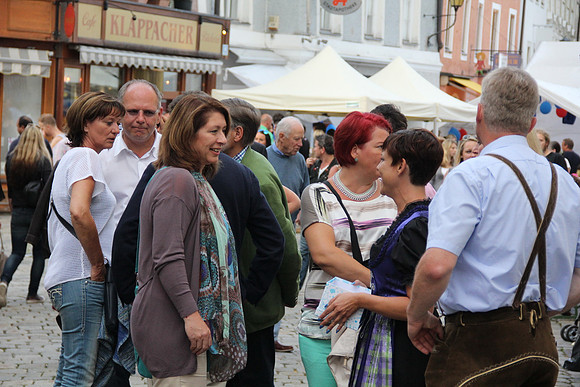 Halleiner Stadtfest 2014