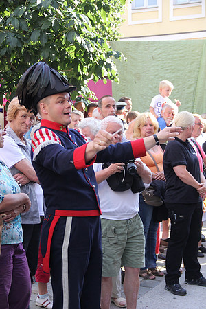 Halleiner Stadtfest 2014