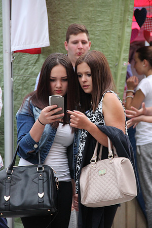 Halleiner Stadtfest 2014