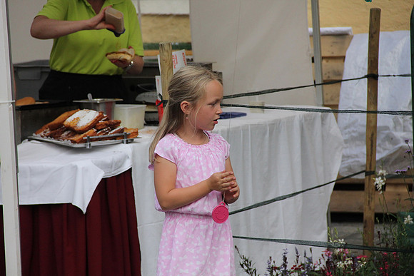Halleiner Stadtfest 2014