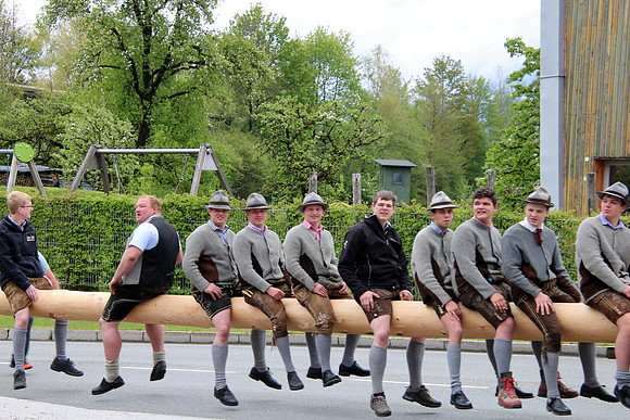 Maibaum Bad Vigaun 2022