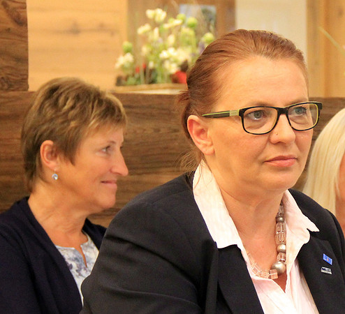 Vereinigung der PflegedirektorInnen Österreichs
