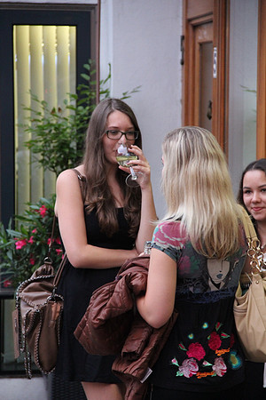 Halleiner Stadtfest 2014