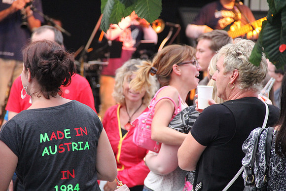 Halleiner Stadtfest 2014