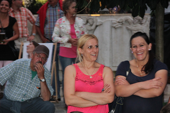 Halleiner Stadtfest 2014