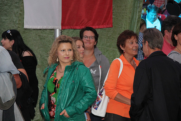 Halleiner Stadtfest 2014