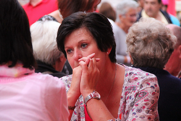 Halleiner Stadtfest 2014
