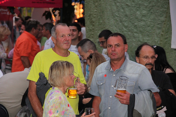 Halleiner Stadtfest 2014