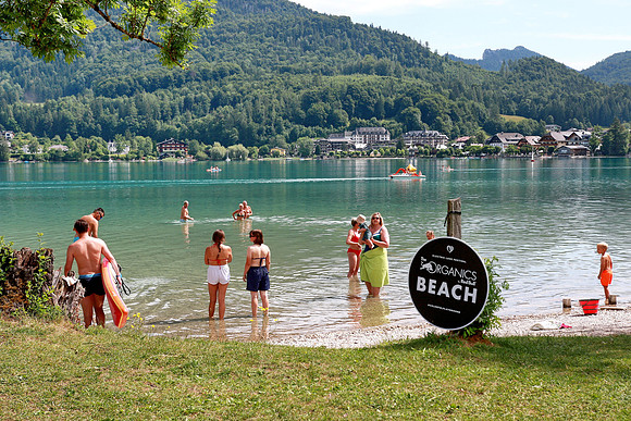 Organics Beach