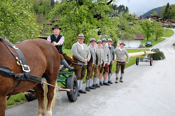 Maibaum Bad Vigaun 2022