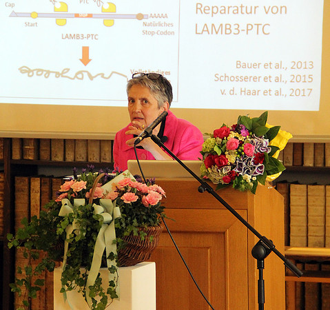 Rare Disease Cluster Salzburg (RACLUS)