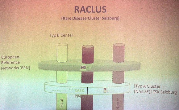 Rare Disease Cluster Salzburg (RACLUS)