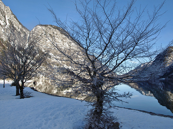 Königsee