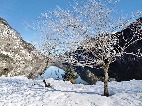 Königsee