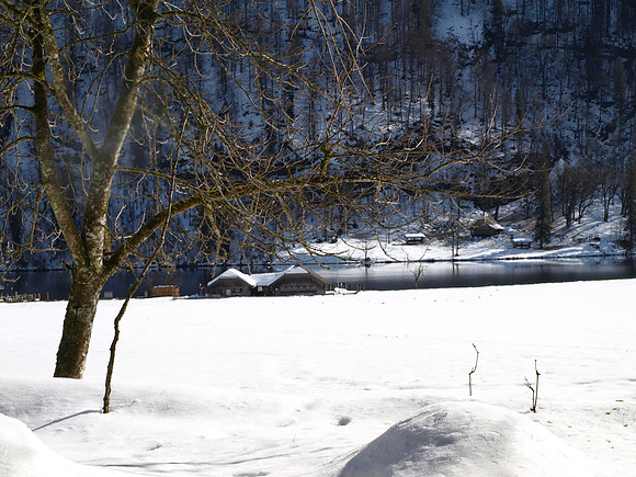 Königsee