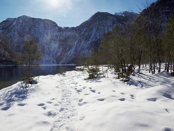 Königsee
