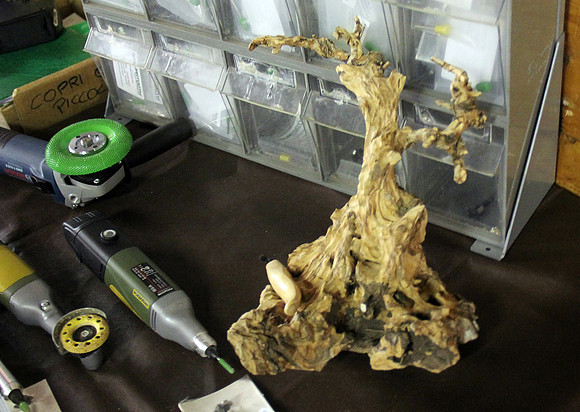 Bonsai Ausstellung Hallein