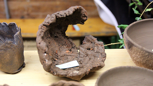 Bonsai Ausstellung Hallein