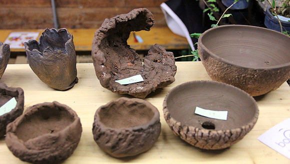 Bonsai Ausstellung Hallein