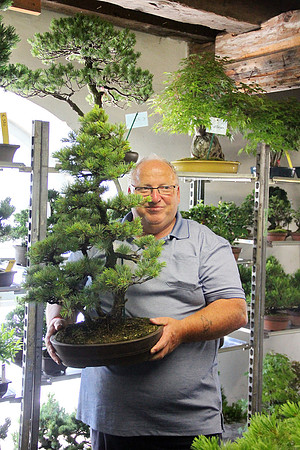 Bonsai Ausstellung Hallein