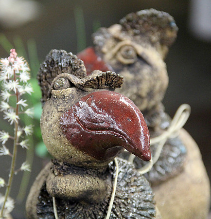 Bonsai Ausstellung Hallein