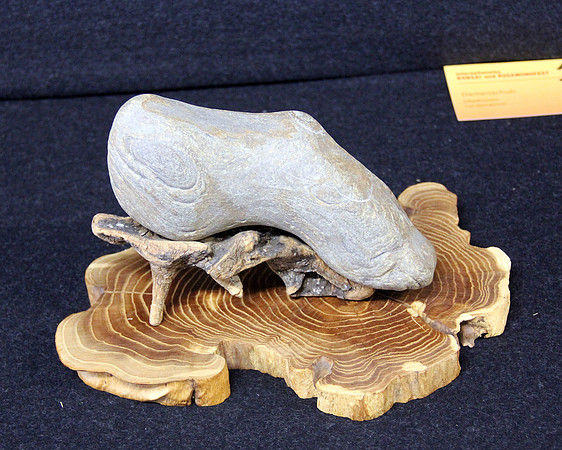 Bonsai Ausstellung Hallein