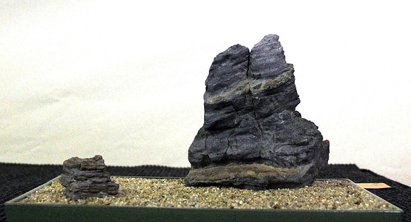 Bonsai Ausstellung Hallein