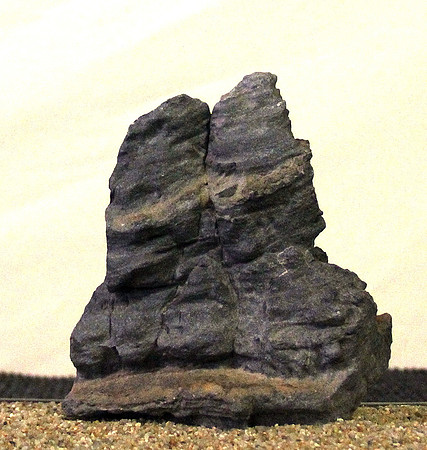 Bonsai Ausstellung Hallein