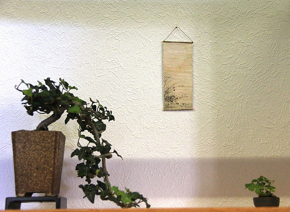 Bonsai Ausstellung Hallein
