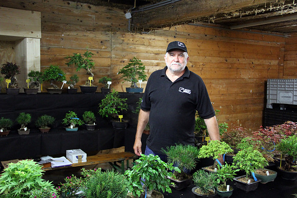 Bonsai Ausstellung Hallein