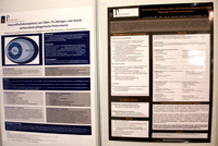 Posterpräsentation ÖGKV 2017
